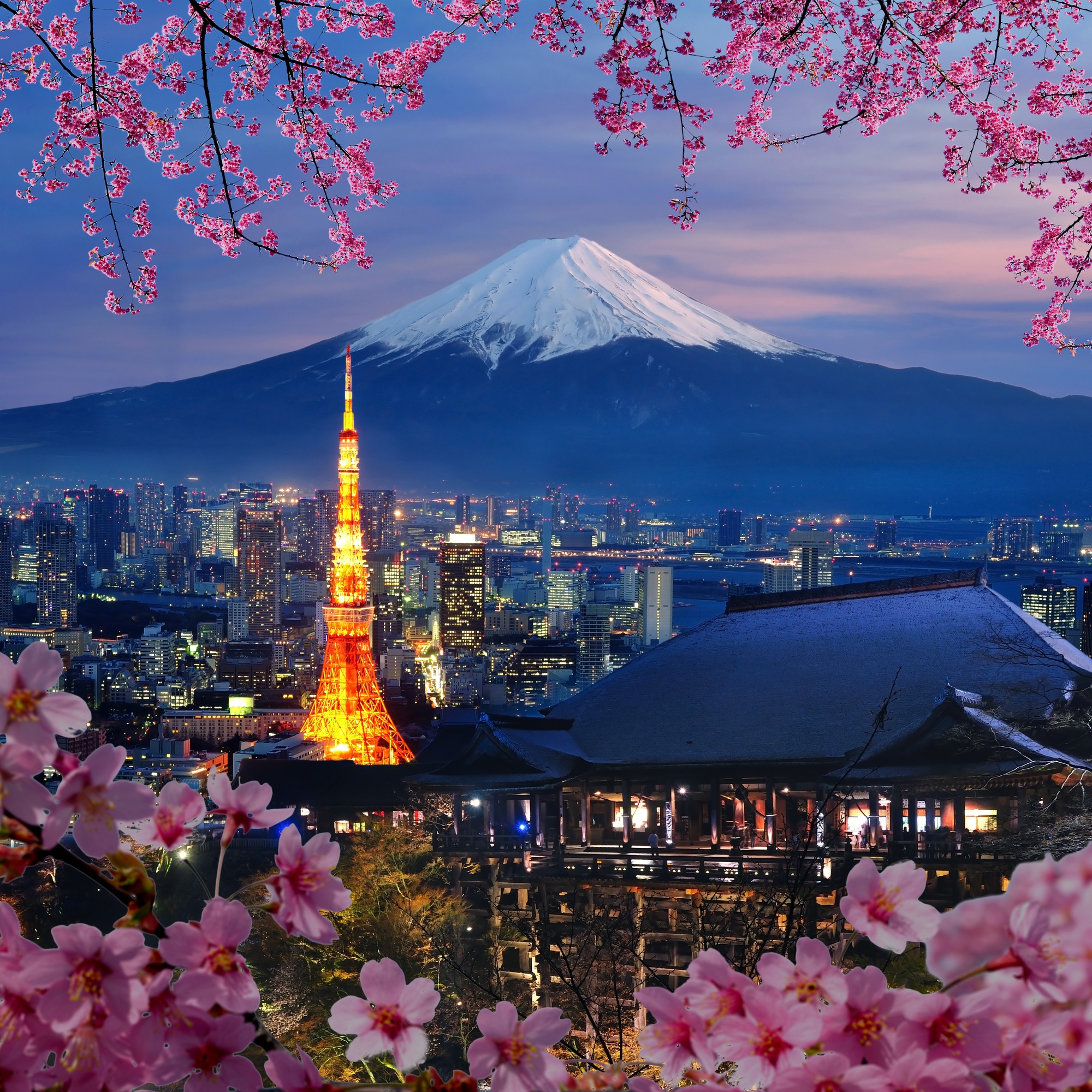 imagine travel japan