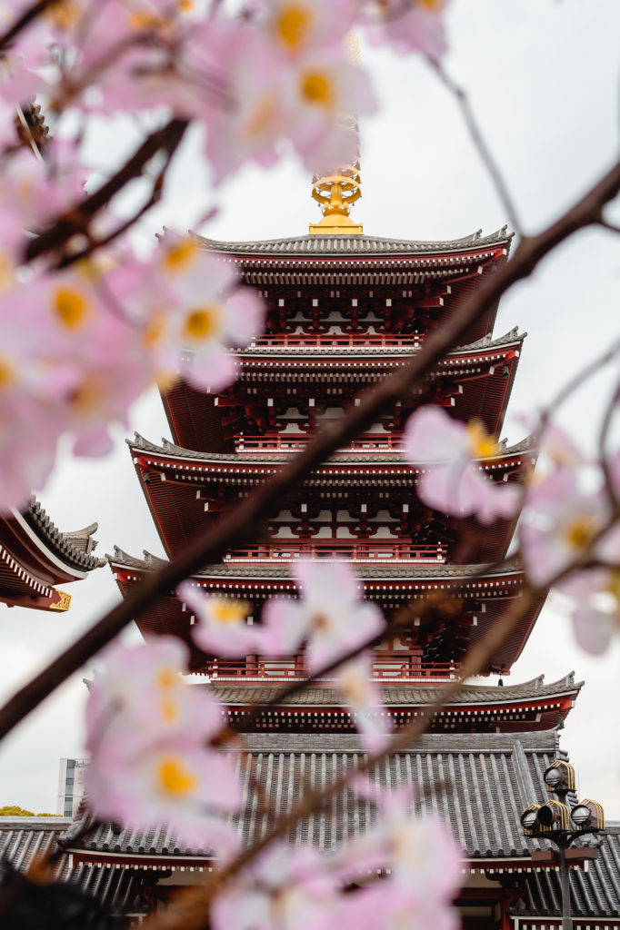 Japan Photography Tour
