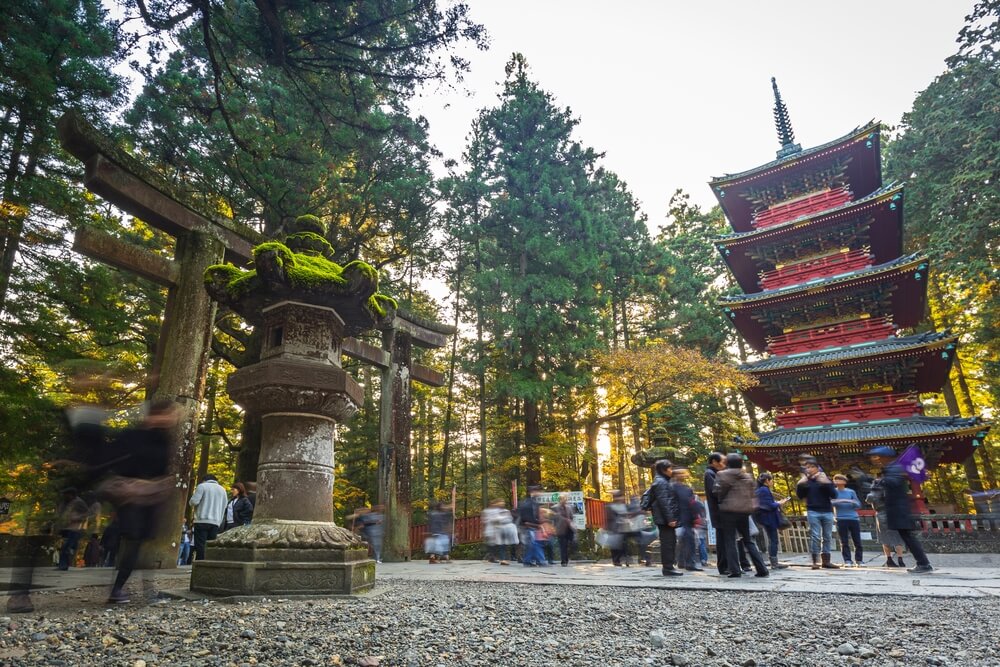 Things to Do in Tokyo During Summer
