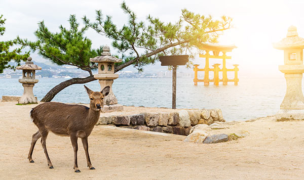 The Island Shrine of Itsukushima