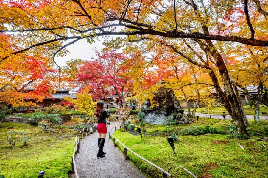 AUTUMN IN JAPAN