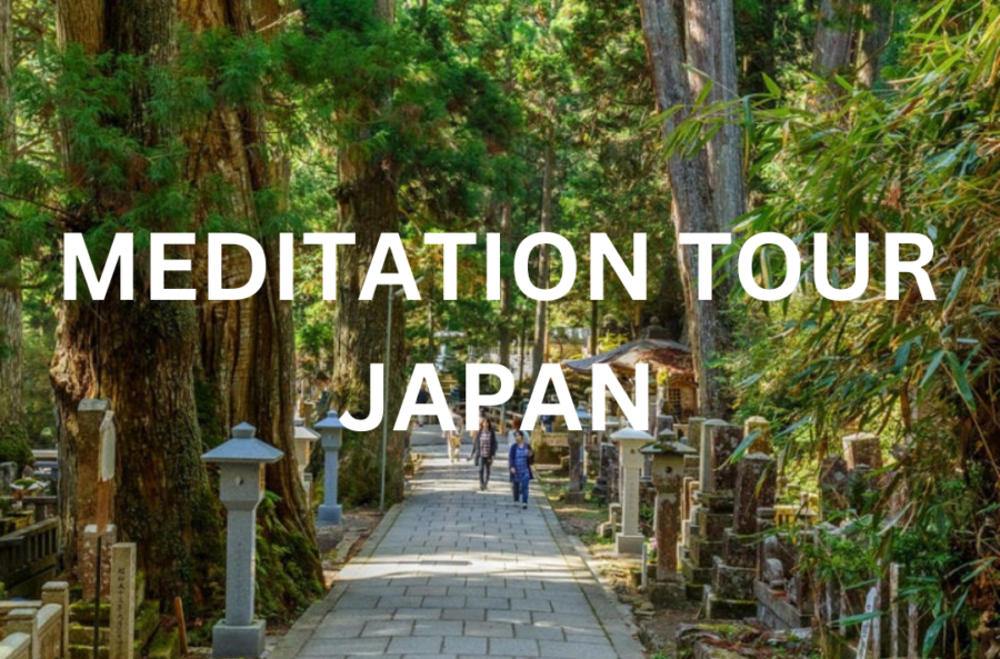 Cherry blossom tour