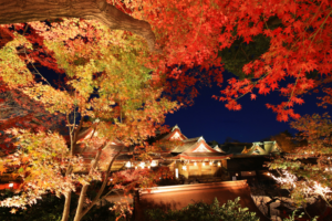 Contact Asahi Travel Group